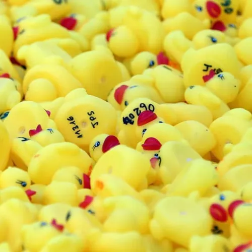 JOURNAL DU MERCREDI 12 MAI ( SOIR )